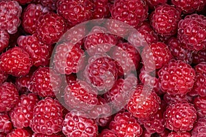 Background of a beautiful fresh raspberry. Healthy food. Vegetarianism.