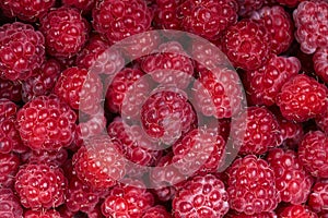 Background of a beautiful fresh raspberry. Healthy food. Vegetarianism.