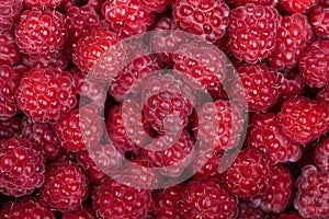 Background of a beautiful fresh raspberry. Healthy food. Vegetarianism.