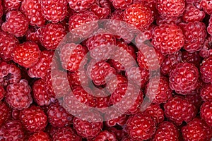 Background of a beautiful fresh raspberry. Healthy food. Vegetarianism.