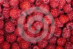 Background of a beautiful fresh raspberry. Healthy food. Vegetarianism.