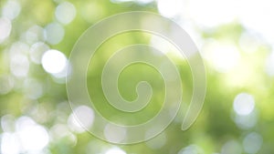 Background with beautiful green bokeh circles