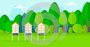 Background of beehives in meadow.