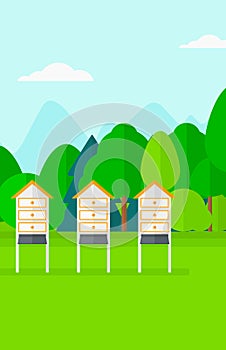 Background of beehives in meadow.