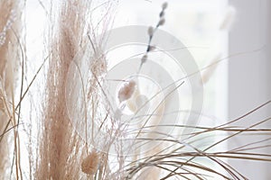 Background with beige dried flowers, ears, dried cereals, brown and golden natural vegetation on the light