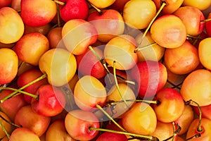 Background of berries ripe yellow-red cherries close up