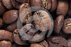 Background of big roasted coffee beans