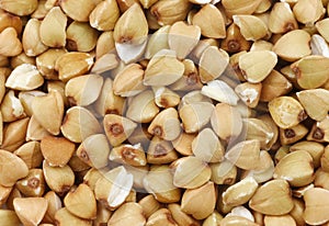 Biologically grown organic buckwheat photo