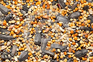 Background of birdseed. close