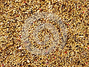 Birdseed with different colorful seeds. Background with birdseed. photo