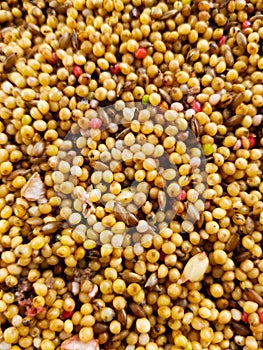 Birdseed with different colorful seeds. Background with birdseed.