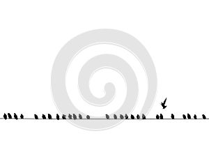 Background of black birds on a wire isolated