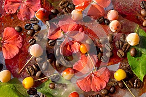 Background of  black coffee beans, red small apple, flower of pelargonium and red and green  leaves   frozen in ice