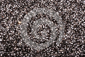 Background with black ripe sunflower seeds.