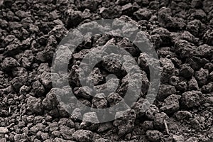 Background from black soil. Textured surface. Soil consists of a