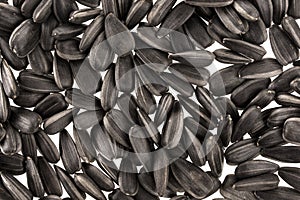 Background of black sunflower seeds