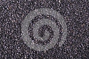 Background of black wild rice.