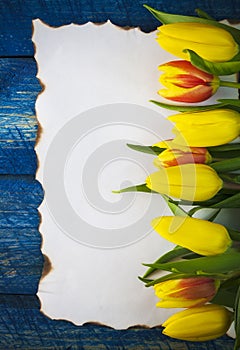 Background blank empty spring tulip flower paper old card wooden