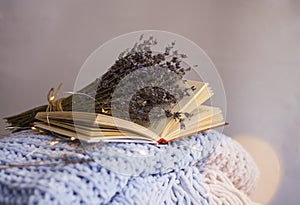 Background of blue hand-knit plaid and pillows in cosy home with dried bouquet of lavender flowers, books, mug of coffee, garland.