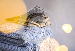 Background of blue hand-knit plaid and pillows in cosy home with dried bouquet of lavender flowers, books, mug of coffee, garland.