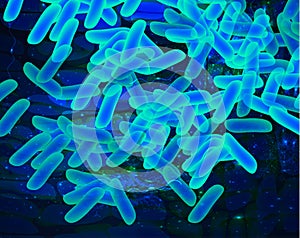 Background blue lactobacillus, bifidobacteria, probiotic, prebiotic. Infographics. Vector illustration on isolated