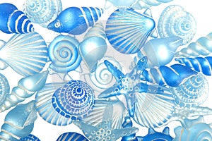 Background of blue shells