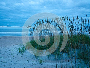 Blue Morning on Amelia Island