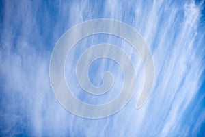 Background blue sky with white Cirrus clouds. Cirrus clouds