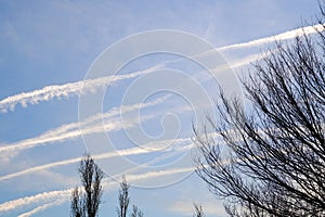 Background of blue sky with white plane trails and leafless trees black silhouettes