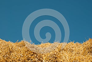 The background of the blue sky and yellow straw the summer landscape is ideal for the background of the inscription