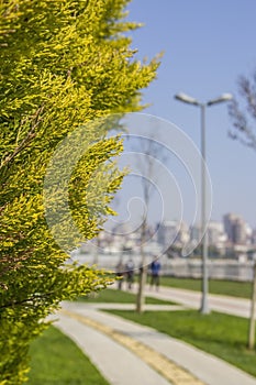Background blur in a park on the waterfront in the area of Kadikoy photo