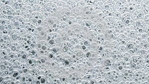 The background is blurred emphasizing the texture and surface tension of