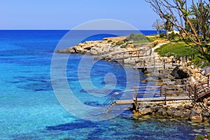 The background is blurred, landscape, view of the Mediterranean Sea in the bay near Protaras, and a blooming stone coast