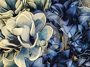 Background of bold and beautiful flowers in cream and rich blues - Magnolia blossoms in forefront - stylized photo