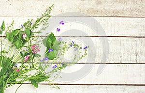 Background with bouquet of summer wild flowers and herbs