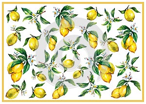 The background of the branches of fresh citrus fruit lemons with green leaves and flowers.