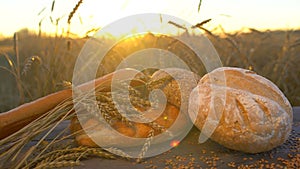 Background of bread, flour, wheat, grains in rustic setting in a wheat field at sunset. Food background. Harvest