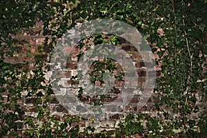 Background brick wall with greenery