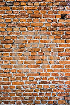 Background of brick  wall texture -orange bricks single