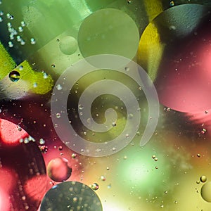 Background of bright colored circles, a close-up shot