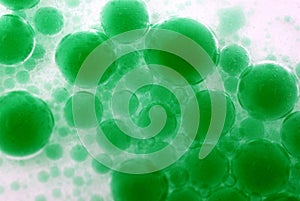 Background with bright green bubbles