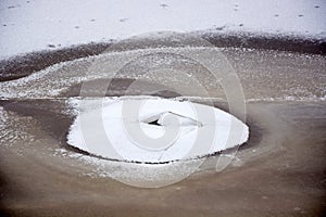 Background from broken pieces of ice. Texture, pattern, closeup