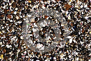 Background of broken shell and pebbles on a beach