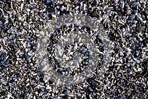 Background of broken shell and pebbles on a beach