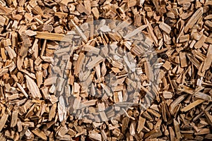 Background of brown dry wood splinter. Wooden chips and slivers. Crushed, chopped wood tree for burning in kiln in