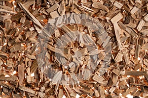 Background of brown dry wood splinter. Wooden chips and slivers. Crushed, chopped wood tree for burning in kiln in