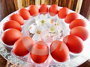 Background with brown Easter eggs and white spring flowers