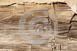 background rough hewn wood with