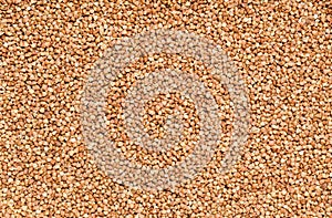 Background of buckwheat. Top View.