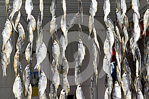 Background of the bundles of dried fish